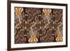 Zulu Closed Feather-Belen Mena-Framed Giclee Print