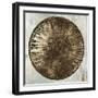 Zulu Gold III-Tom Reeves-Framed Art Print