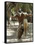 Zulu Tribal Dance Group, Dumazula Cultural Village, South Africa, Africa-Peter Groenendijk-Framed Stretched Canvas