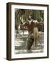 Zulu Tribal Dance Group, Dumazula Cultural Village, South Africa, Africa-Peter Groenendijk-Framed Photographic Print