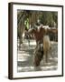 Zulu Tribal Dance Group, Dumazula Cultural Village, South Africa, Africa-Peter Groenendijk-Framed Photographic Print