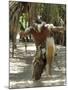 Zulu Tribal Dance Group, Dumazula Cultural Village, South Africa, Africa-Peter Groenendijk-Mounted Photographic Print