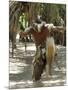 Zulu Tribal Dance Group, Dumazula Cultural Village, South Africa, Africa-Peter Groenendijk-Mounted Photographic Print