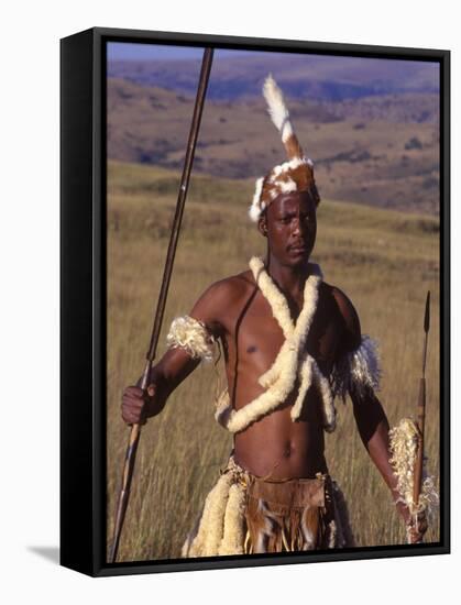 Zulu Warrior in Traditional Dress with Fighting Spear-John Warburton-lee-Framed Stretched Canvas