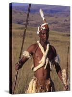 Zulu Warrior in Traditional Dress with Fighting Spear-John Warburton-lee-Stretched Canvas