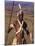 Zulu Warrior in Traditional Dress with Fighting Spear-John Warburton-lee-Mounted Photographic Print