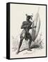 Zulu Warrior, Kaffraria, South Africa, 1851-null-Framed Stretched Canvas