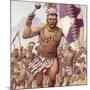 Zulu Warrior-Pat Nicolle-Mounted Giclee Print