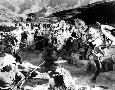 Just the Print