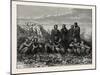 Zulus. the Zuluare the Largest South African Ethnic Group-null-Mounted Giclee Print