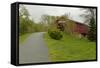 Zumbrota Covered Bridge-johnsroad7-Framed Stretched Canvas