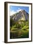 Zumwalt Meadow with Roaring River, Kings Canyon NP, California, USA-Michel Hersen-Framed Photographic Print