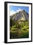 Zumwalt Meadow with Roaring River, Kings Canyon NP, California, USA-Michel Hersen-Framed Photographic Print