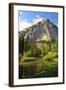 Zumwalt Meadow with Roaring River, Kings Canyon NP, California, USA-Michel Hersen-Framed Photographic Print