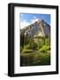 Zumwalt Meadow with Roaring River, Kings Canyon NP, California, USA-Michel Hersen-Framed Photographic Print