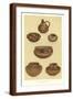 Brown Frame