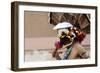 Zuni Red-Tailed Hawk Dancer Performing the Turkey Dance at the Gallup Intertribal Ceremonials, New-null-Framed Giclee Print