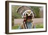 Zuni Red-Tailed Hawk Dancer Performing the Turkey Dance at the Gallup Intertribal Ceremonials, New-null-Framed Giclee Print