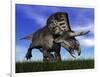 Zuniceratops Dinosaur Running in the Grass-null-Framed Art Print