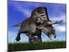 Zuniceratops Dinosaur Running in the Grass-null-Mounted Art Print