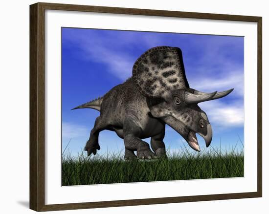 Zuniceratops Dinosaur Running in the Grass-null-Framed Art Print