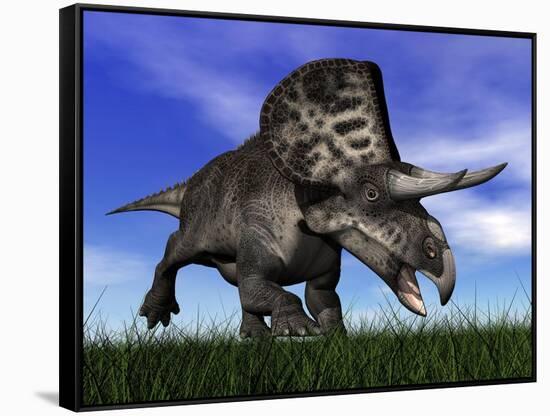 Zuniceratops Dinosaur Running in the Grass-null-Framed Stretched Canvas