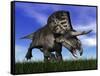 Zuniceratops Dinosaur Running in the Grass-null-Framed Stretched Canvas