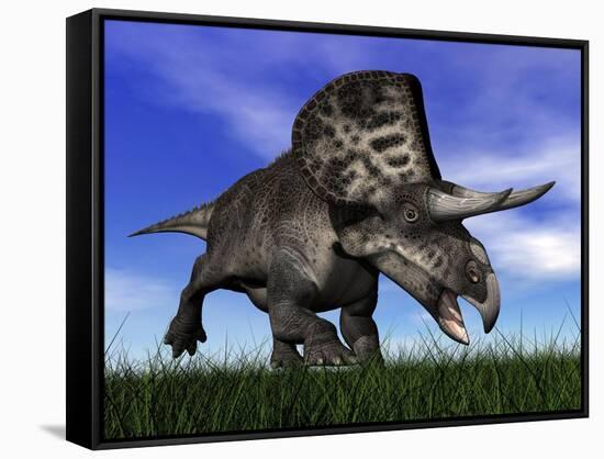 Zuniceratops Dinosaur Running in the Grass-null-Framed Stretched Canvas