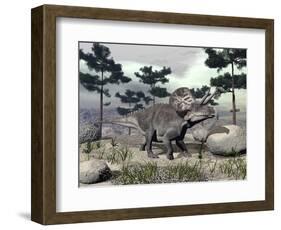 Zuniceratops Dinosaur Walking on a Hill with Large Rocks and Pine Trees-null-Framed Art Print