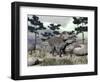 Zuniceratops Dinosaur Walking on a Hill with Large Rocks and Pine Trees-null-Framed Art Print