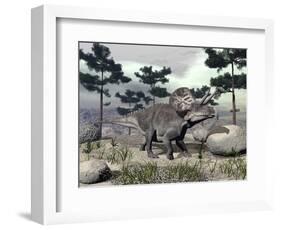 Zuniceratops Dinosaur Walking on a Hill with Large Rocks and Pine Trees-null-Framed Art Print