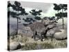 Zuniceratops Dinosaur Walking on a Hill with Large Rocks and Pine Trees-null-Stretched Canvas