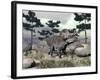 Zuniceratops Dinosaur Walking on a Hill with Large Rocks and Pine Trees-null-Framed Art Print
