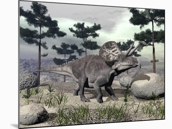 Zuniceratops Dinosaur Walking on a Hill with Large Rocks and Pine Trees-null-Mounted Art Print