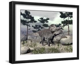 Zuniceratops Dinosaur Walking on a Hill with Large Rocks and Pine Trees-null-Framed Art Print