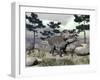 Zuniceratops Dinosaur Walking on a Hill with Large Rocks and Pine Trees-null-Framed Art Print