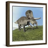 Zuniceratops Dinosaur-null-Framed Art Print