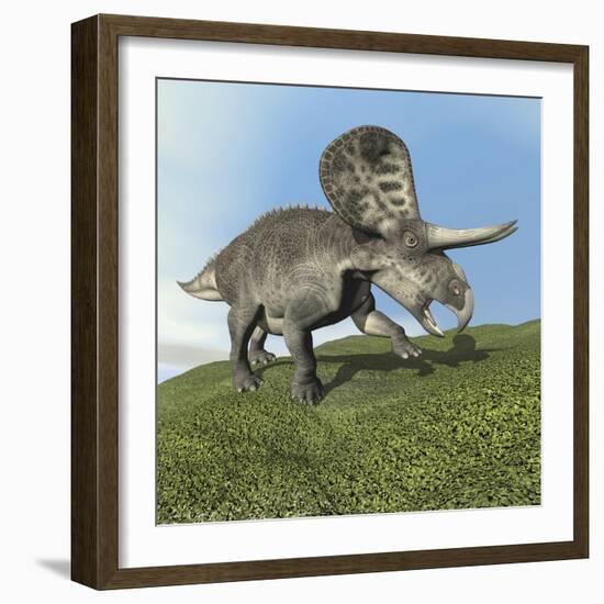 Zuniceratops Dinosaur-null-Framed Art Print