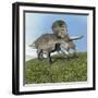 Zuniceratops Dinosaur-null-Framed Art Print