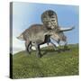 Zuniceratops Dinosaur-null-Stretched Canvas