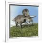 Zuniceratops Dinosaur-null-Framed Art Print