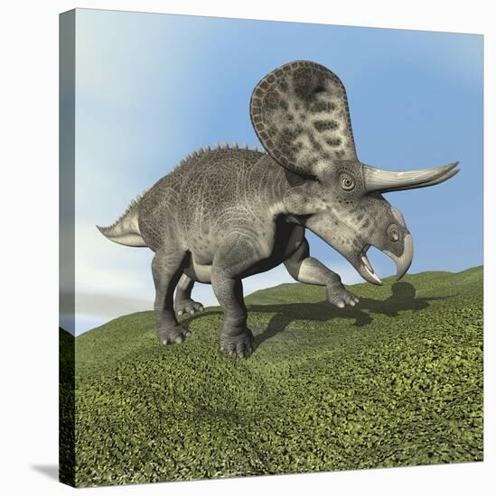 Zuniceratops Dinosaur-null-Stretched Canvas