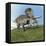 Zuniceratops Dinosaur-null-Framed Stretched Canvas