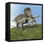 Zuniceratops Dinosaur-null-Framed Stretched Canvas