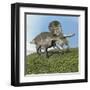 Zuniceratops Dinosaur-null-Framed Art Print