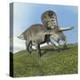 Zuniceratops Dinosaur-null-Stretched Canvas