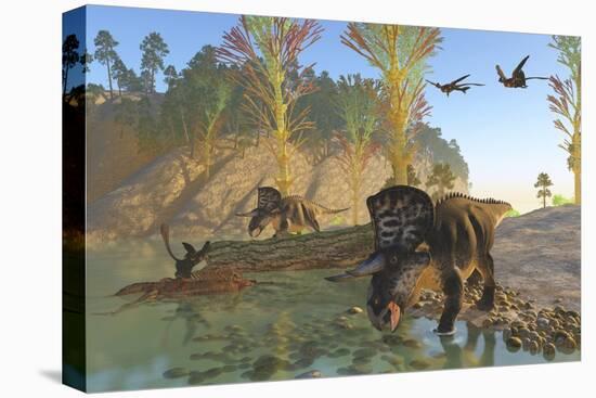 Zuniceratops Dinosaurs Drinking Water from a River-null-Stretched Canvas