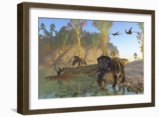 Zuniceratops Dinosaurs Drinking Water from a River-null-Framed Art Print