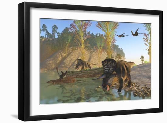 Zuniceratops Dinosaurs Drinking Water from a River-null-Framed Art Print