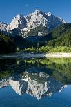 Ibex (Capra Ibex) Female with Young Running to Keep Up, Triglav Np, Julian Alps, Slovenia, July-Zupanc-Photographic Print